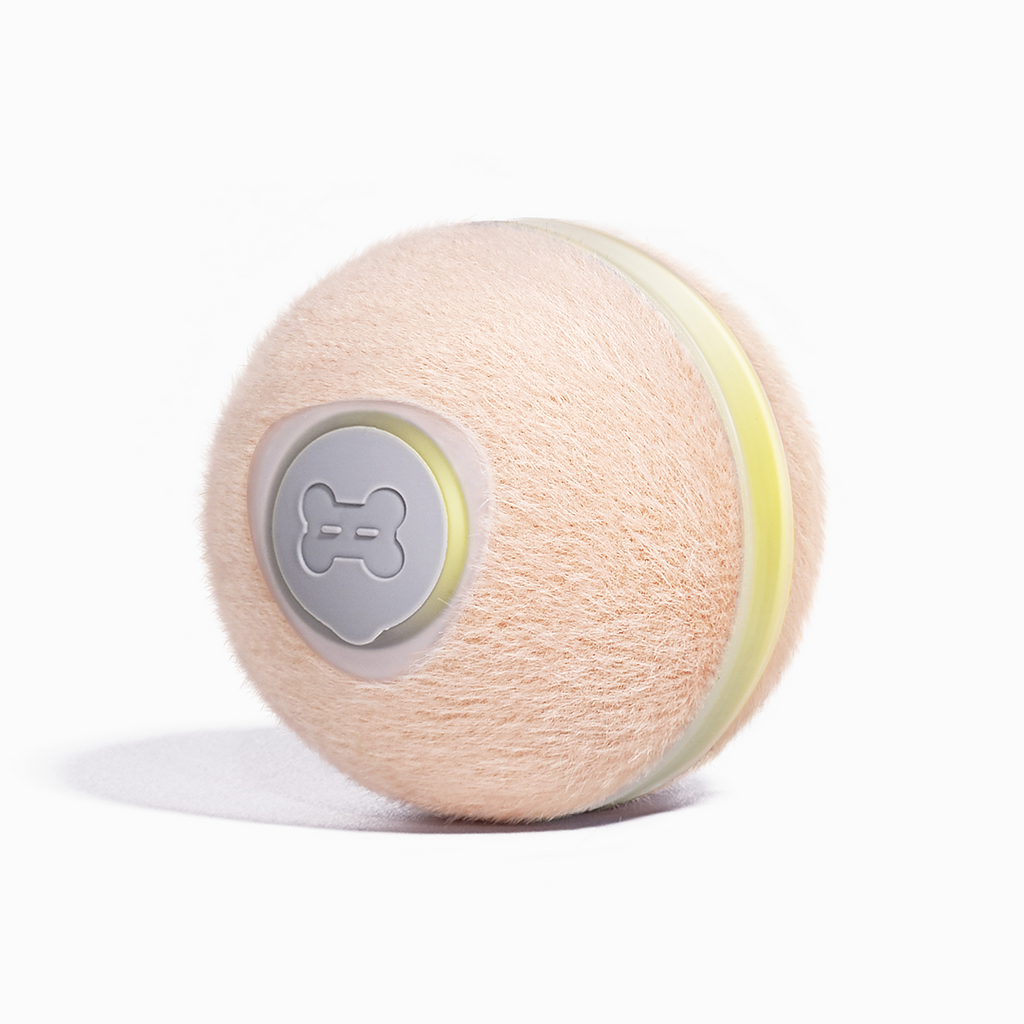 Wicked Ball M3: Smart Cat Toy Fun | Playtime!