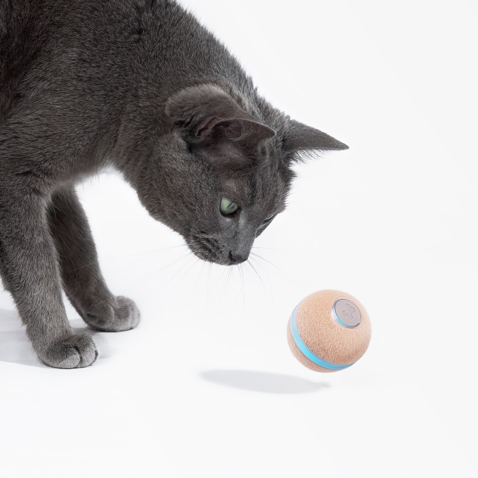 Wicked Ball M3：スマートな飛びつきを身につけよう