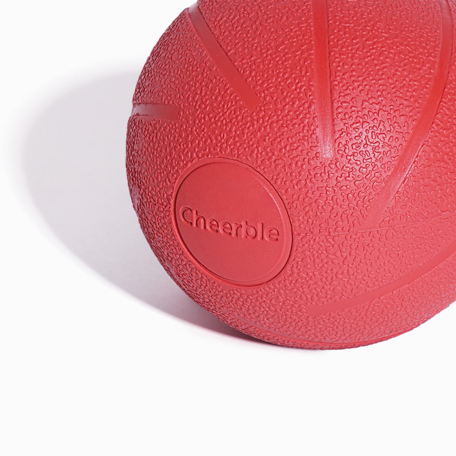 Wicked Ball SE: 小型犬向けのスマートなインタラクティブ犬用