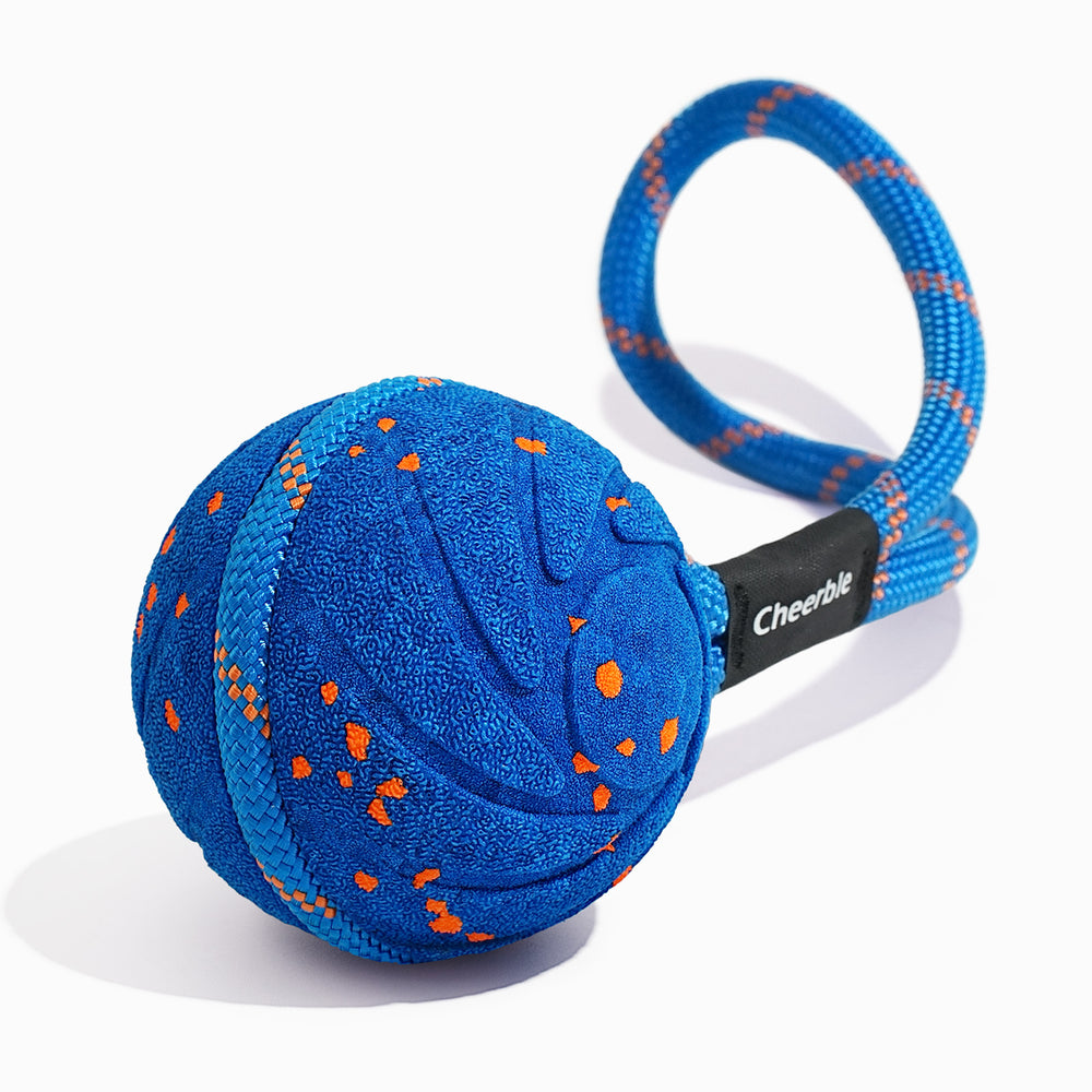 Wicked Ball Air Rope | Smart Interactive Tug of War Dog Toy
