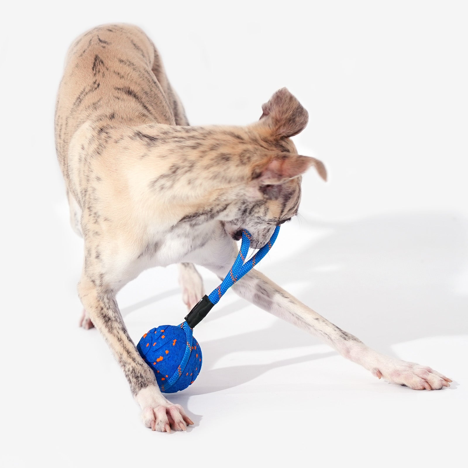 Wicked Ball Air Rope | Smart Interactive Tug of War Dog Toy