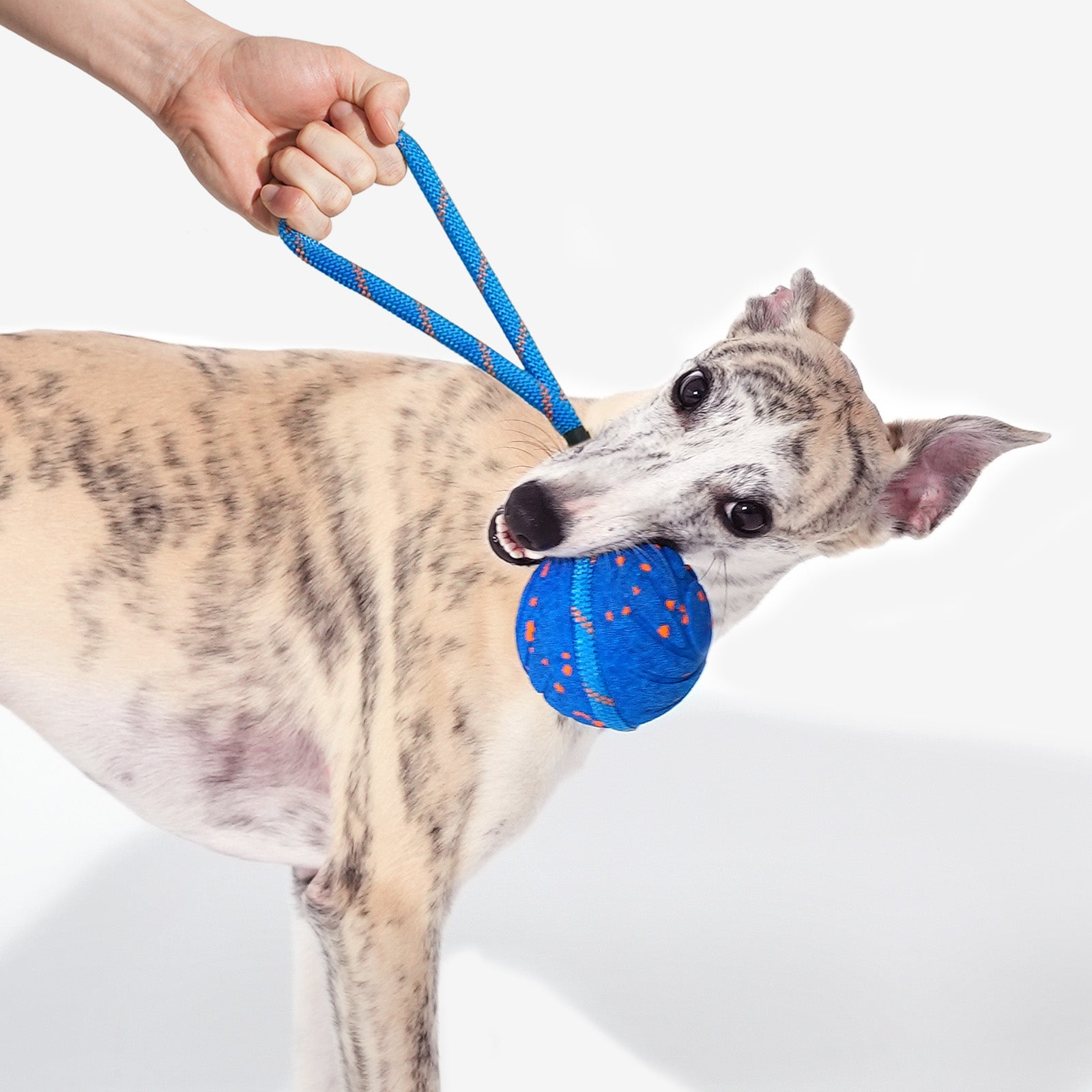 Wicked Ball Air Rope