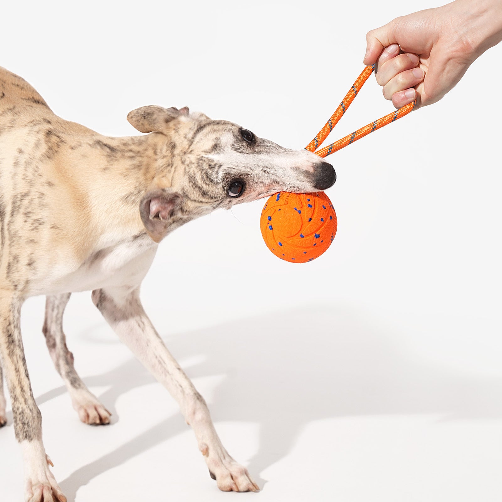 Wicked Ball Air Rope