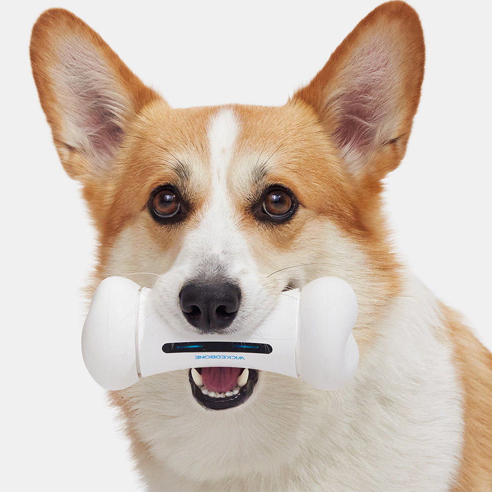 Wickedbone Dog Toy | Smart & Interactive Fun!