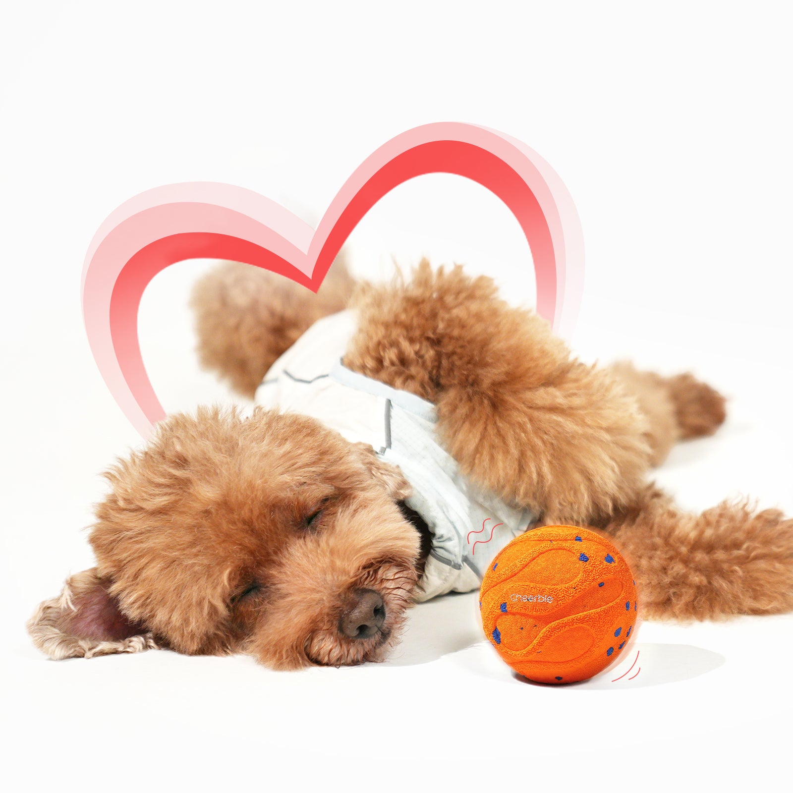 #Color_Bright Orange