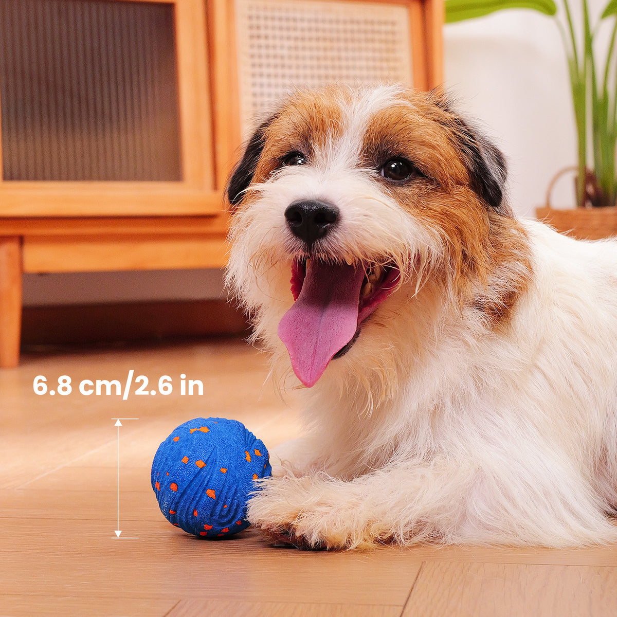 @en #Color_Royal Blue
