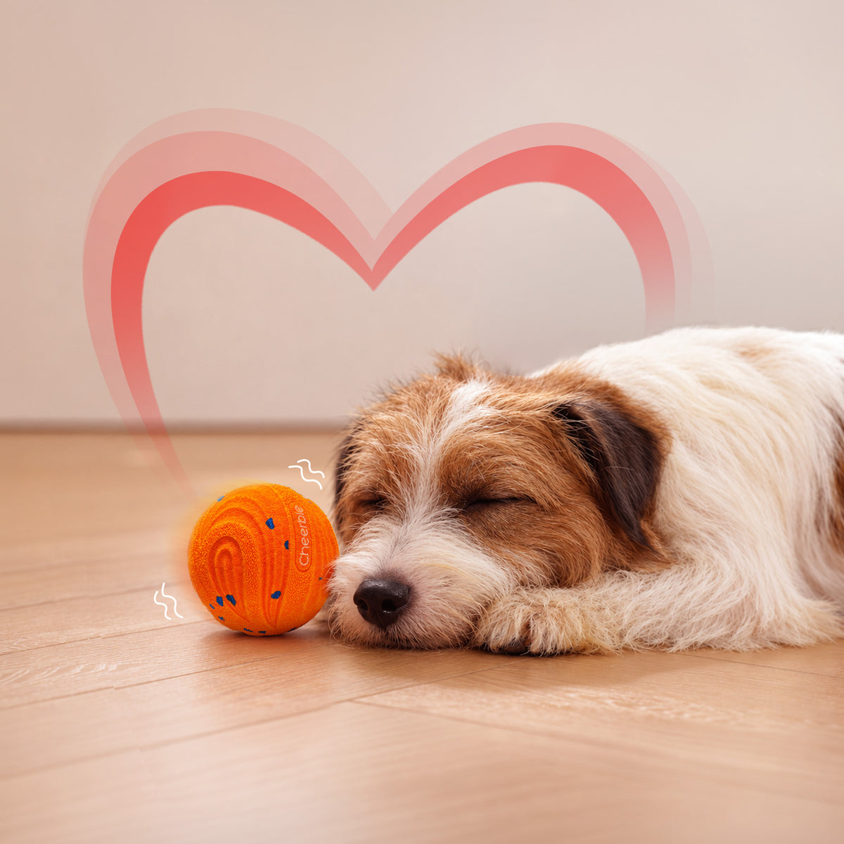 #Color_Bright Orange
