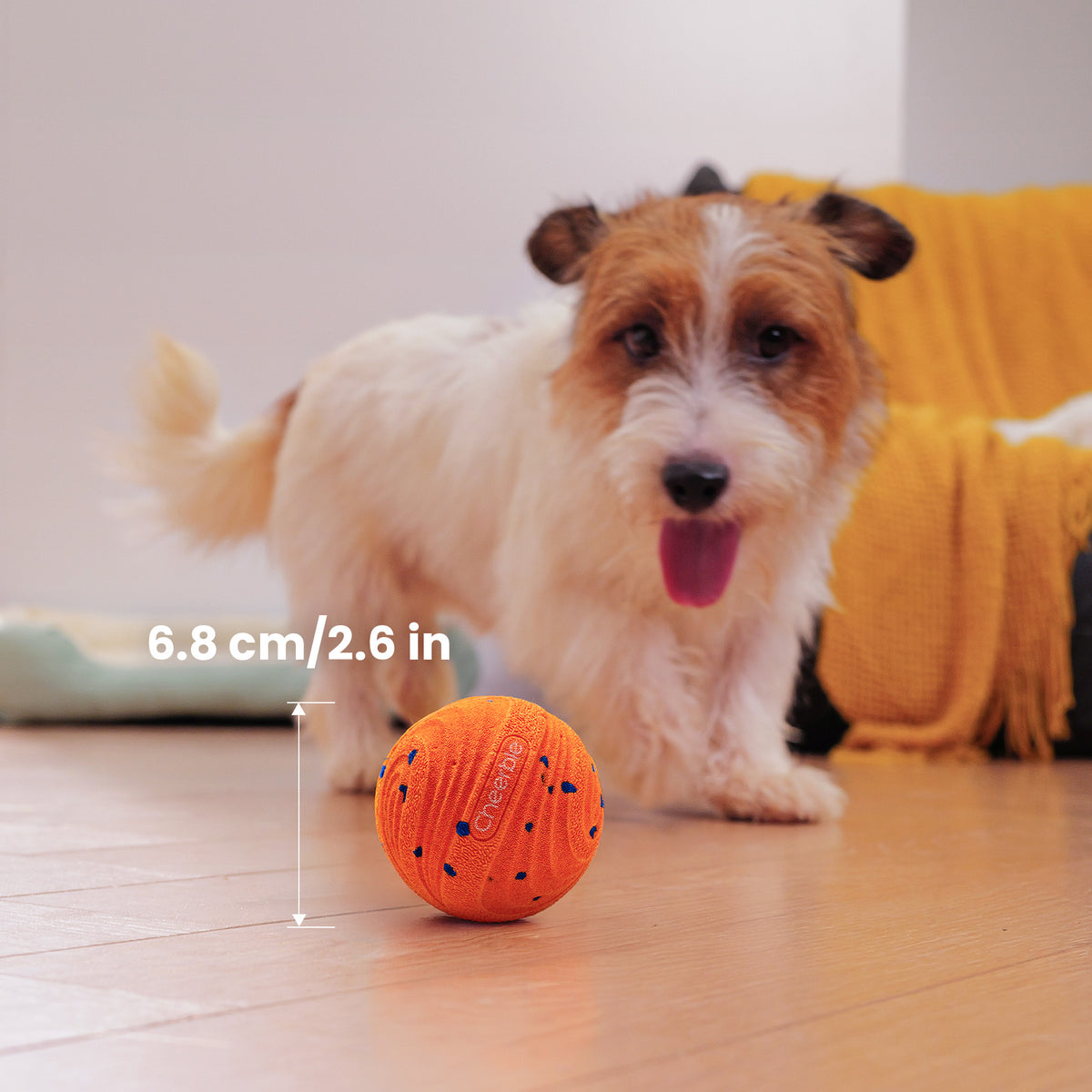 @en #Color_Bright Orange