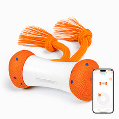 #Color_Bright Orange
