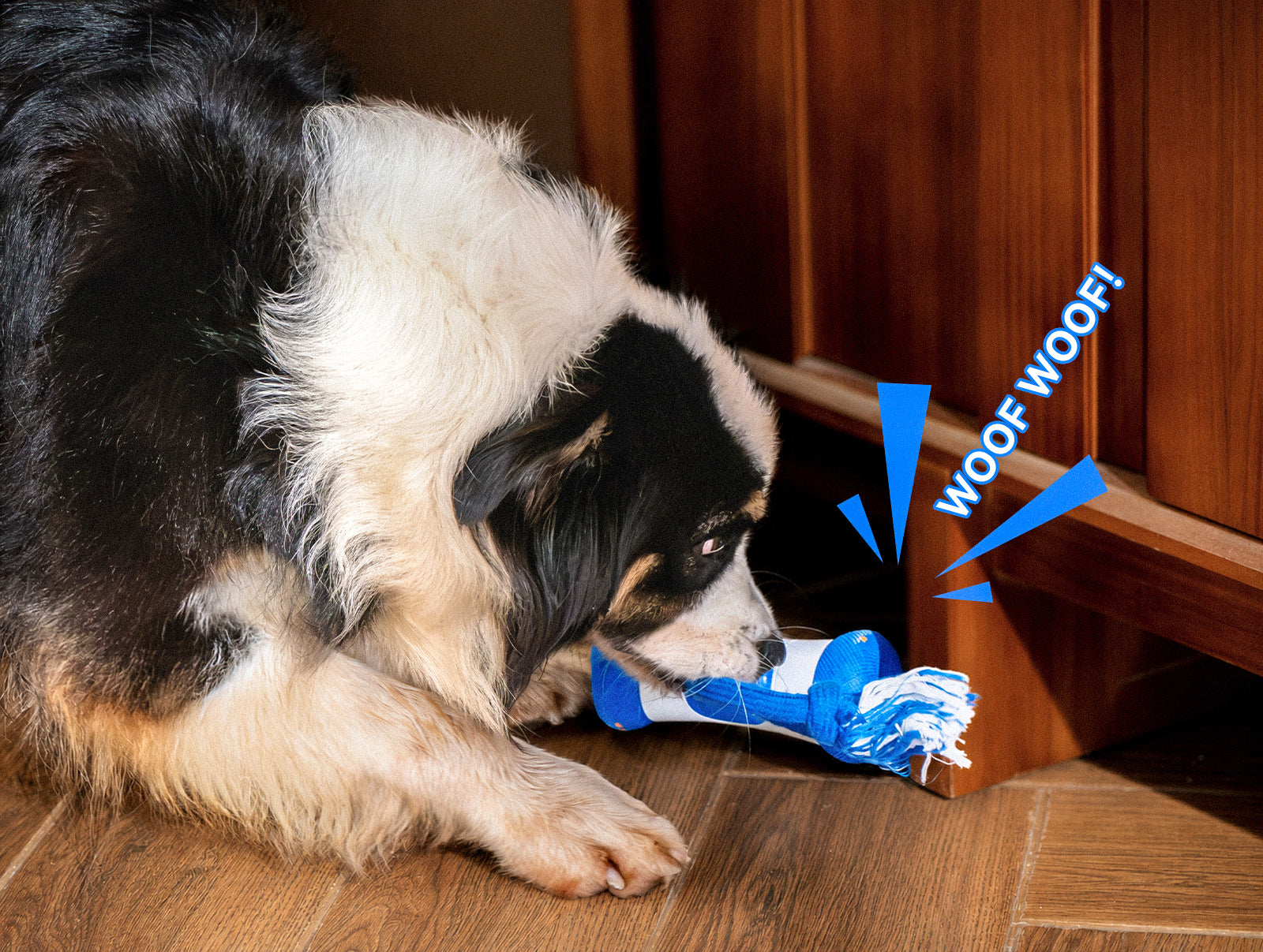 Wickedbone Air | APP-Controlled Smart Dog Toy | Buy Now