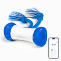 #Color_Royal Blue
