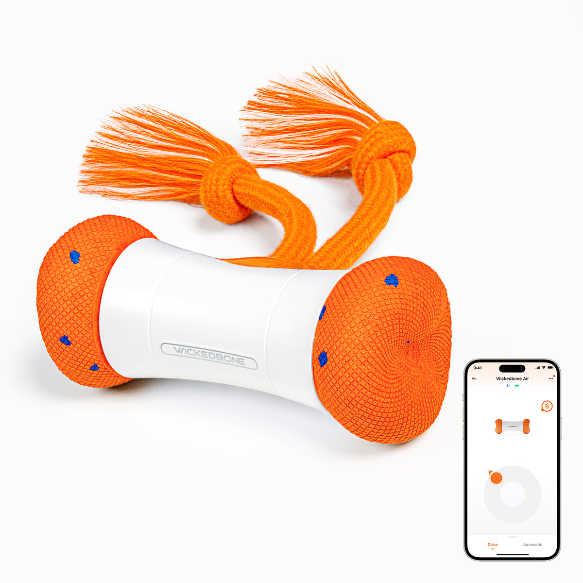 #Color_Bright Orange