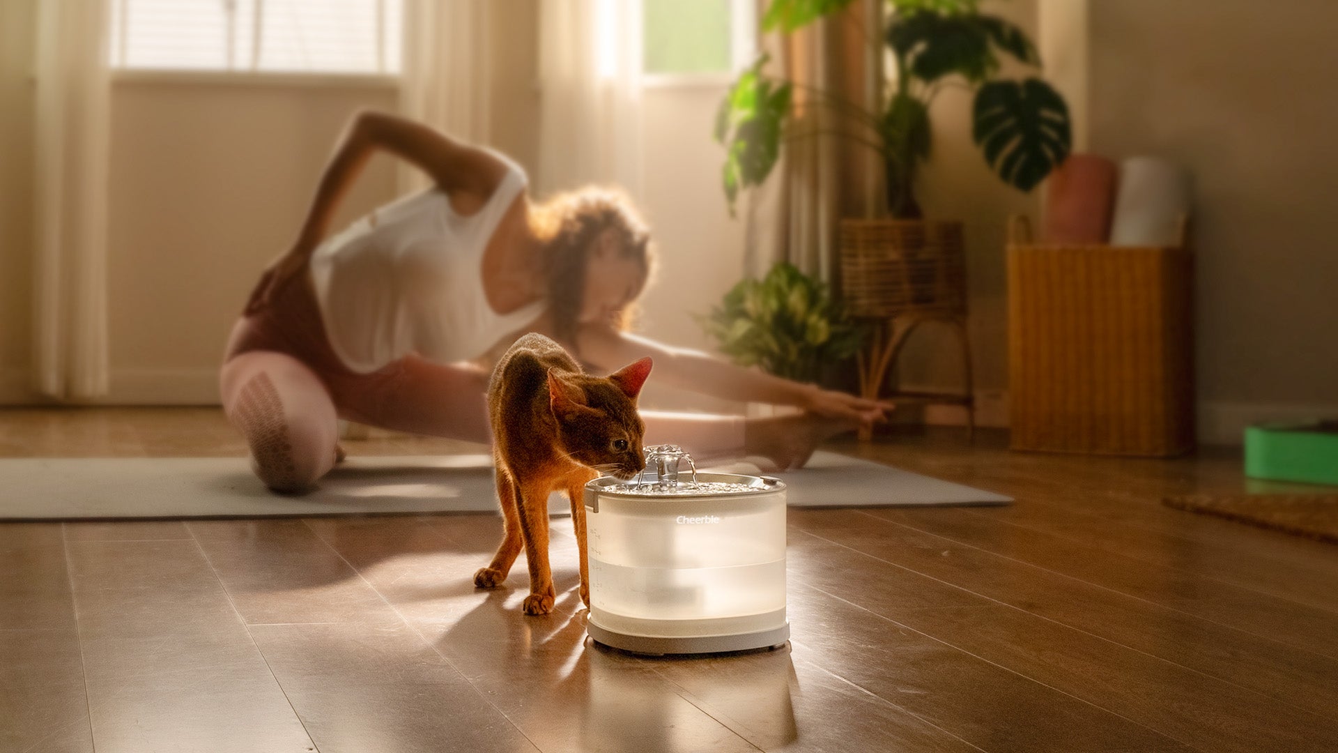 Pet Fountain Elfin E1+ | Fresh Water for Pets | Buy Now
