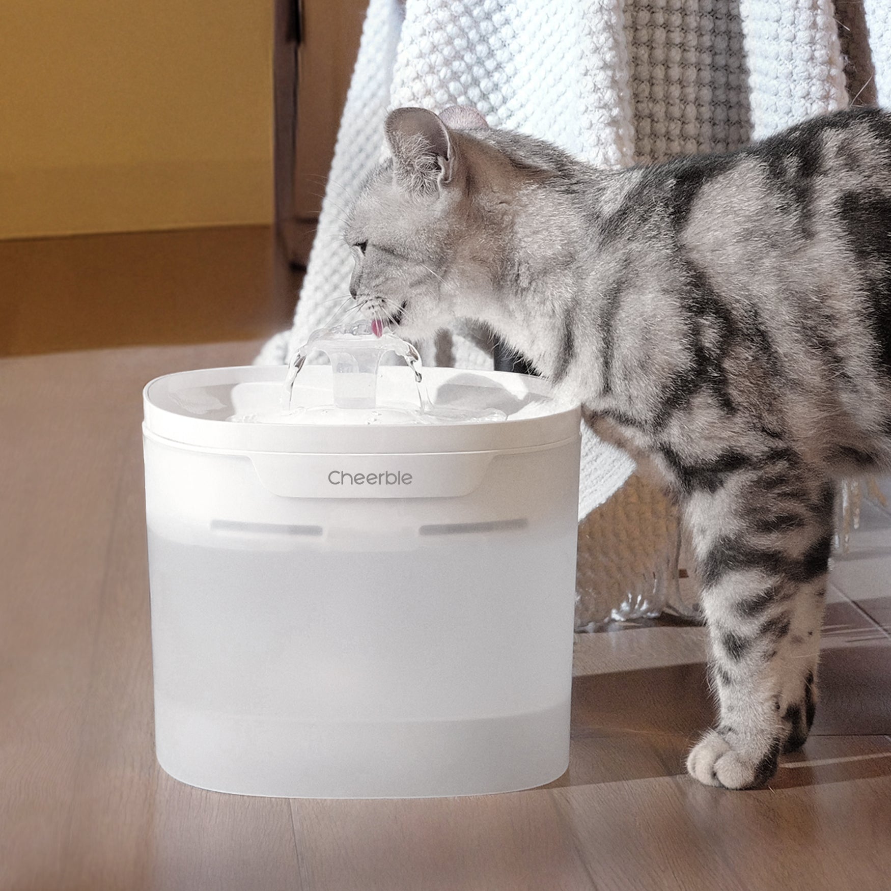 ペット給水器フィルター | 新鮮な水、幸せな猫！