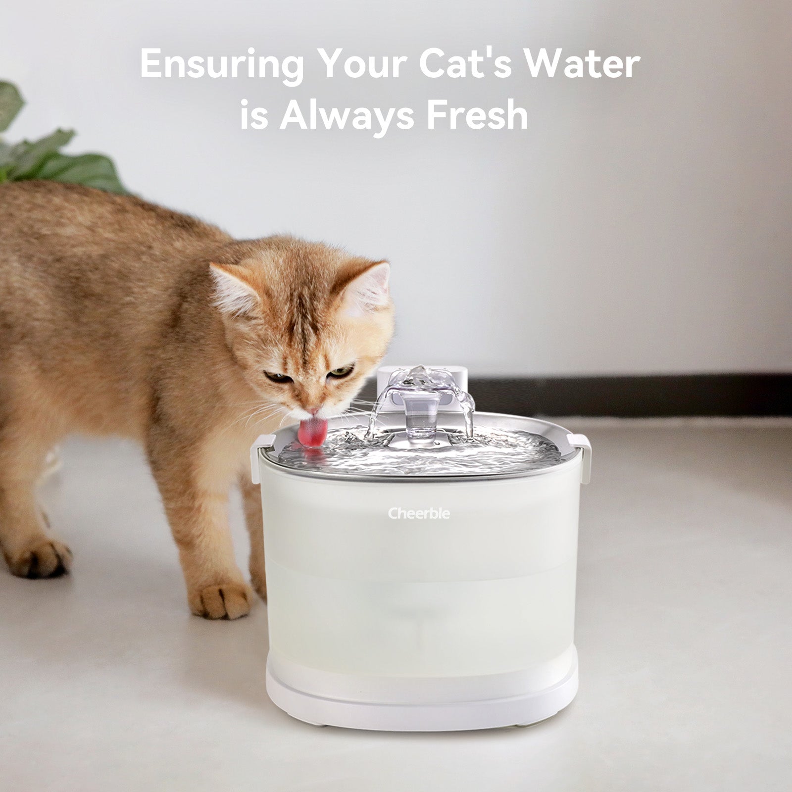 Cheerble PET FOUNTAIN E1+ ペット給水機 Pet Fountain Elfin E1+ | Fresh Water for Pets | Buy Now